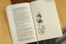 NIV, Beautiful Word Bible Journal, John, Paperback, Comfort Print