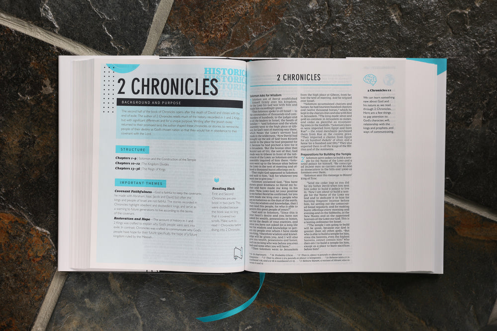 A look inside A look inside