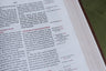 KJV, Thompson Chain-Reference Bible, Large Print, Red Letter, Comfort Print