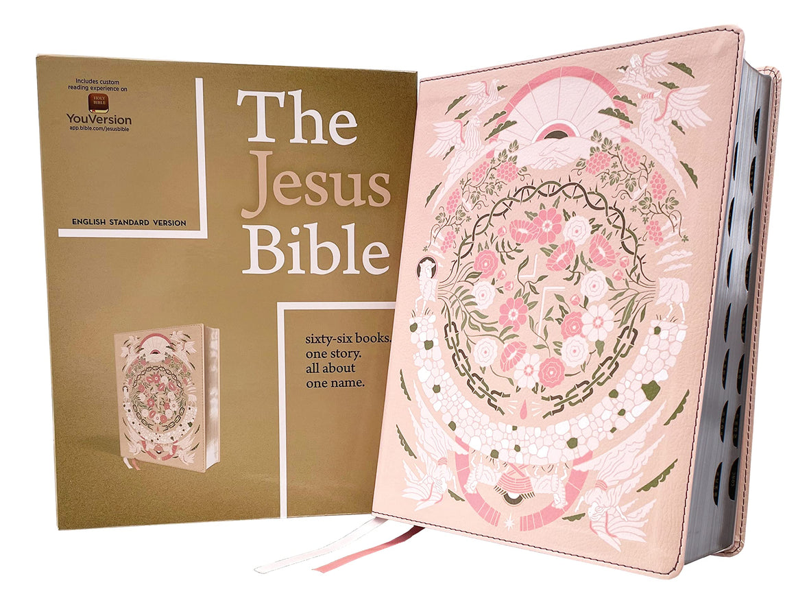 Introducing the Illustrating Bible! A Bible that has been specifically  designed for the Bible Journaler. F…