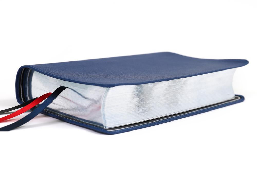 NIV, Side-Column Reference Bible (Deep Study at a Portable Size), Personal Size, Premium Goatskin Leather, Blue, Premier Collection, Art Gilded Edges, Comfort Print