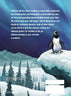 5-Minute Adventure Bible Stories, Polar Exploration Edition