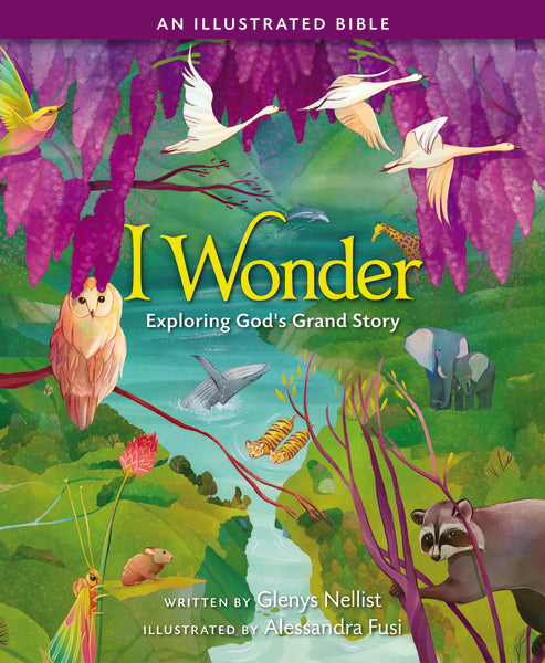 Wonder: Illustrated Edition