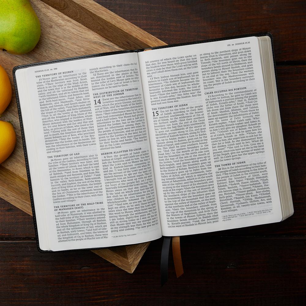 NRSV, Catholic Bible, Thinline Edition, Comfort Print: Holy Bible