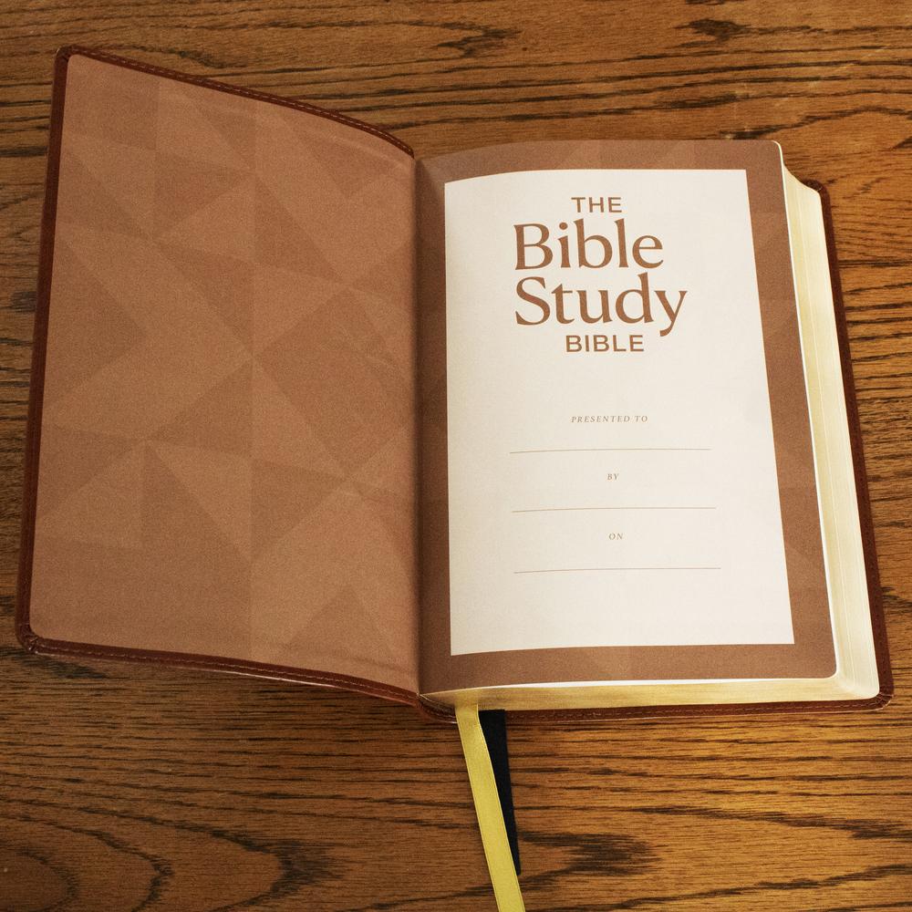 Printable Bible Study Summary Bible Study Supplies Womens Ministry