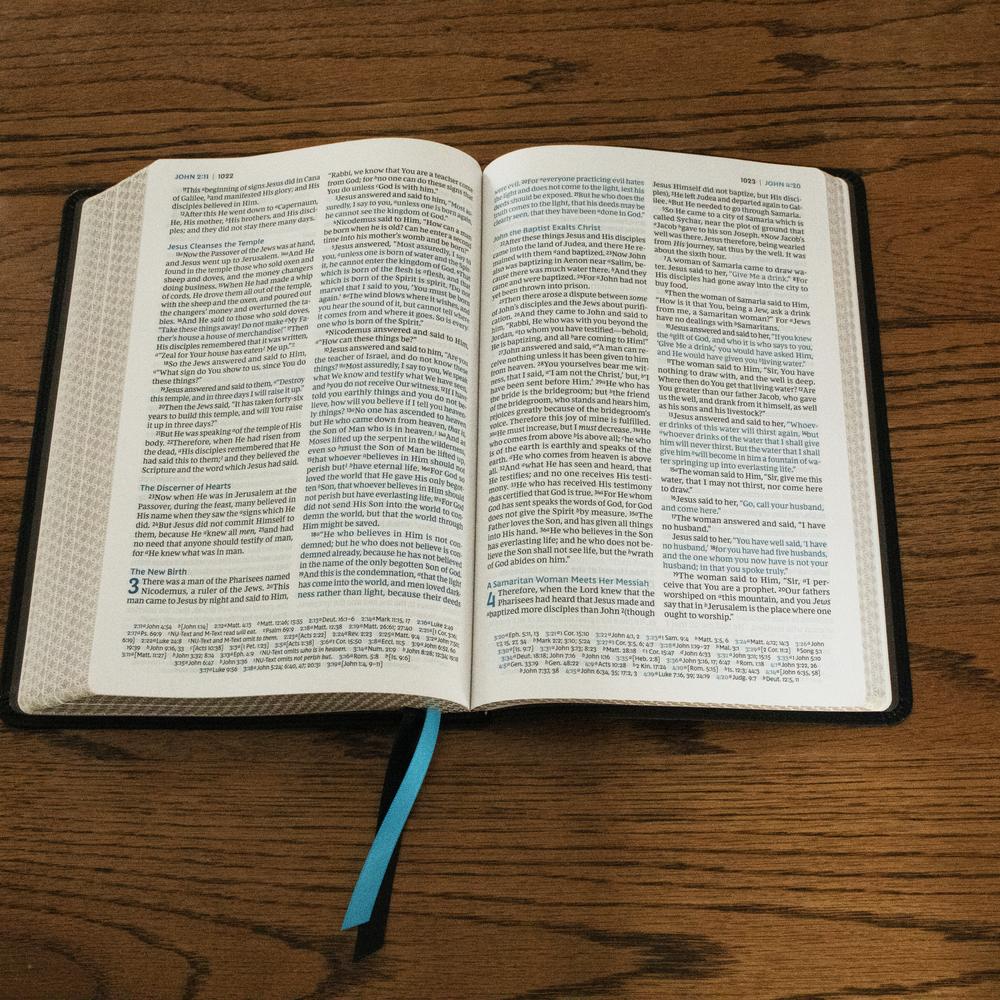 NKJV, Large Print Thinline Reference Bible, Blue Letter, Maclaren Series, Comfort Print: Holy Bible, New King James Version
