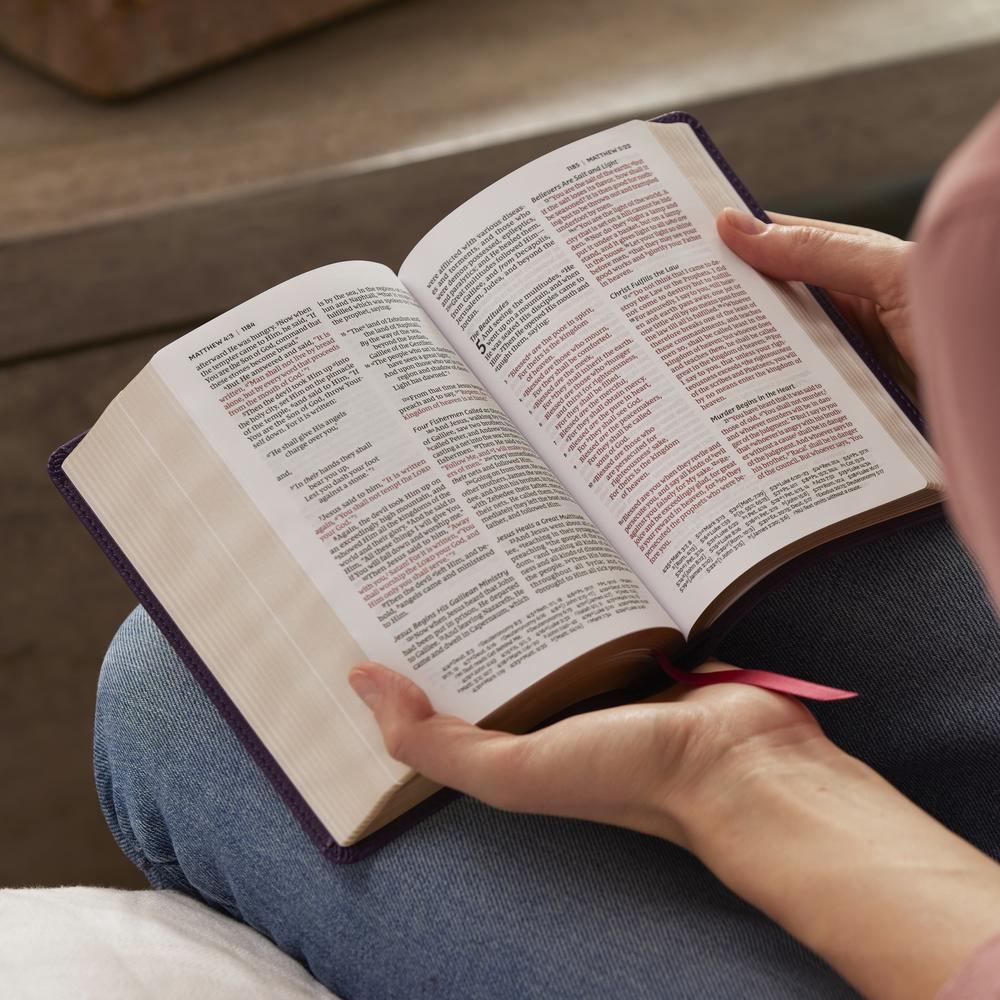 Bable W NKJV Compact Paragraph-Style Bible w/ 43,000 Cross References, Red Let ...