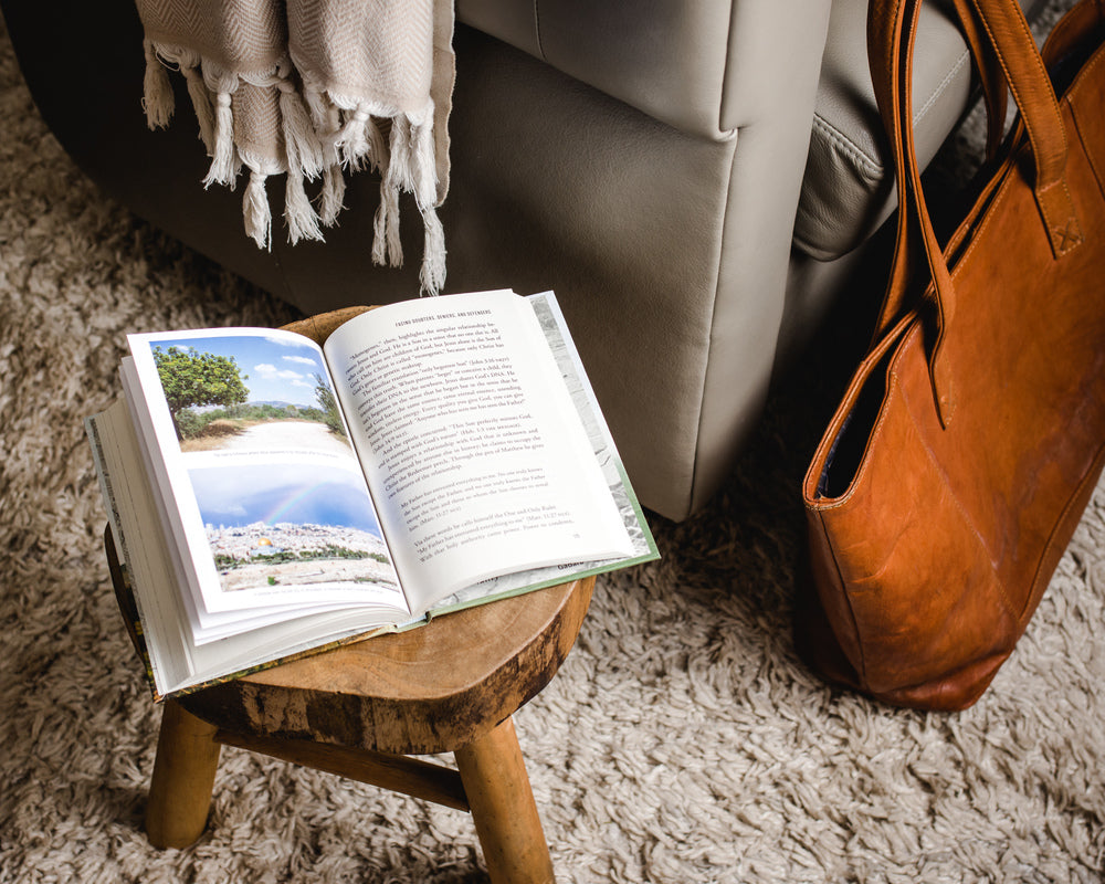 In the Footsteps of the Savior In the Footsteps of the Savior