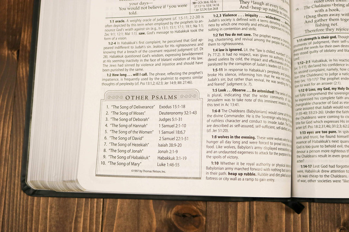 NASB MacArthur Study Bible Large Print Holy Bible New American Sta Nasb macarthur study bible large print holy bible new american sta