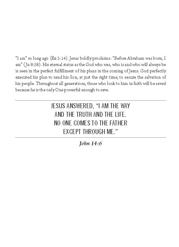 The Jesus Bible Journal, John, NIV, Paperback, Comfort Print