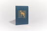 NET Abide Bible Journal - Revelation, Paperback, Comfort Print: Holy Bible